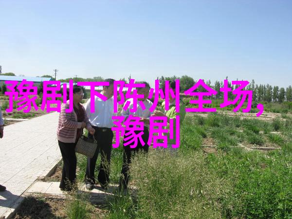 豫剧的起源介绍