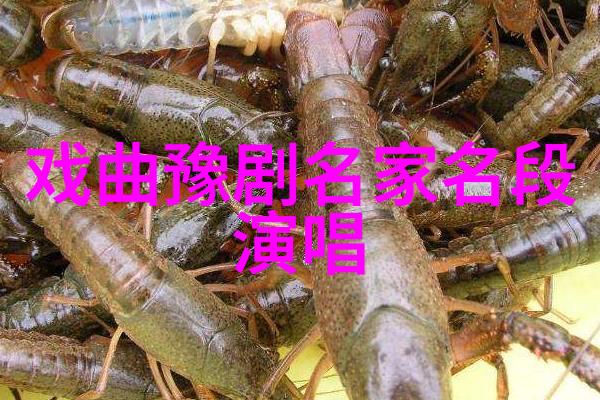 陈连堂面甜瓜