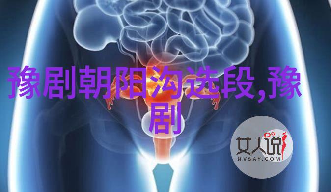 豫剧名家田敏