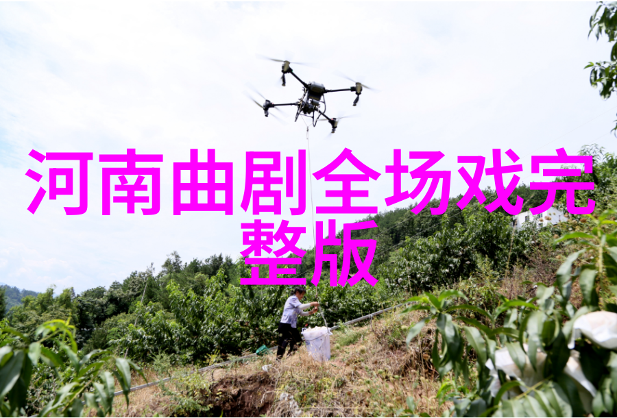 豫剧名老艺人谚语集