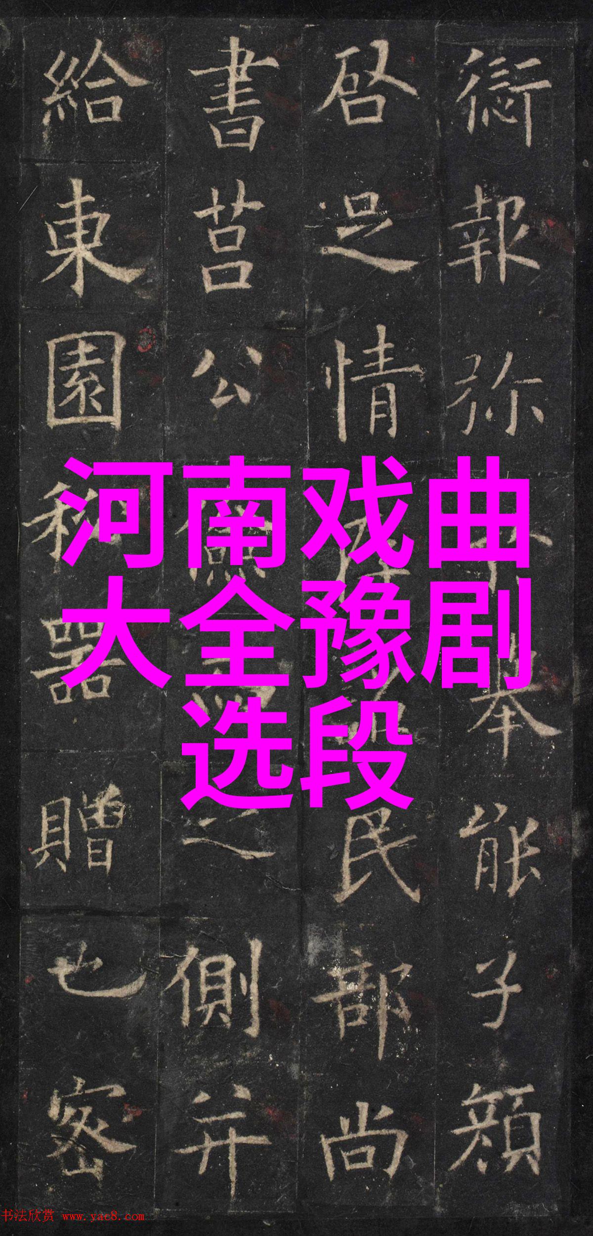 河南豫剧三团王善朴家庭事迹
