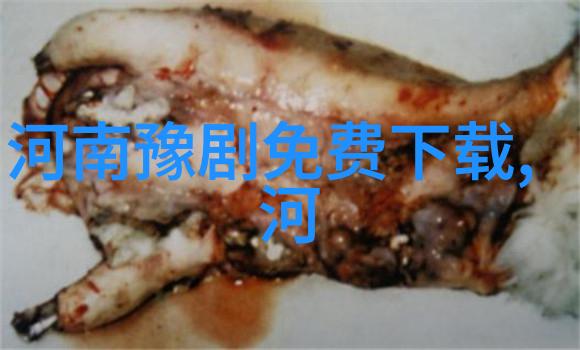 沉香闹学