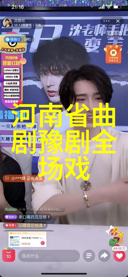 政协委员建议政府应该继续加大对院团的扶持力度